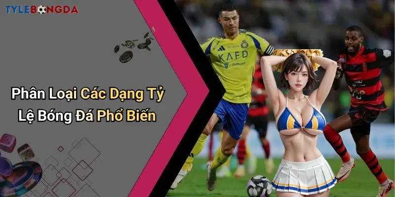 Phân Loại Các Dạng Tỷ Lệ Bóng Đá Phổ Biến
