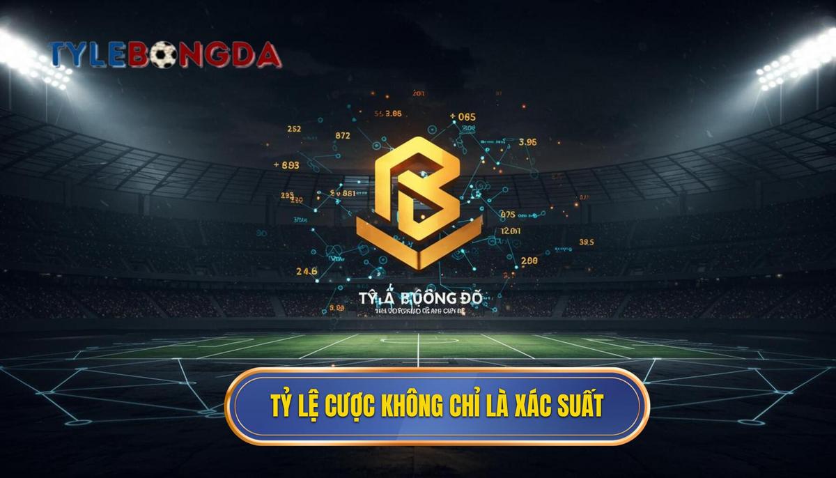 Nền tảng cấu thành tỷ lệ cược_ Không chỉ là xác suất