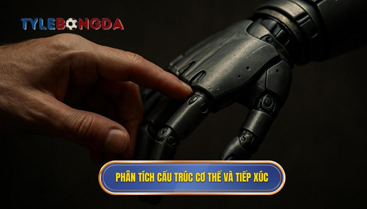 Phân tích cấu trúc cơ thể và điểm tiếp xúc