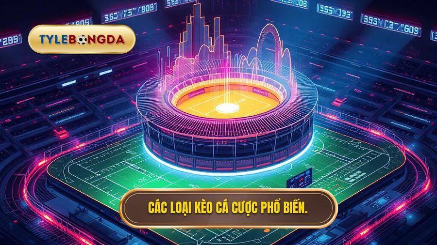 Nhóm thuật ngữ cơ bản về các loại kèo phổ biến