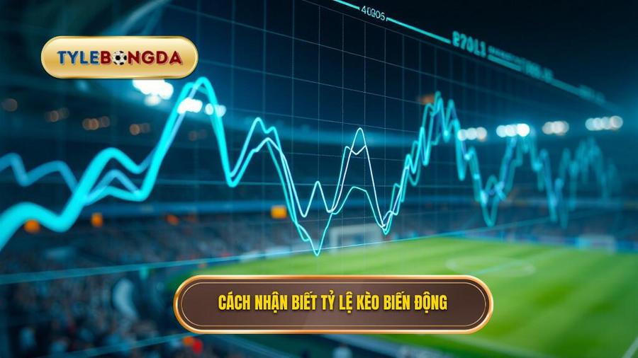 Cách nhận biết kèo bóng đá đêm nay biến động thế nào qua bảng tỷ lệ