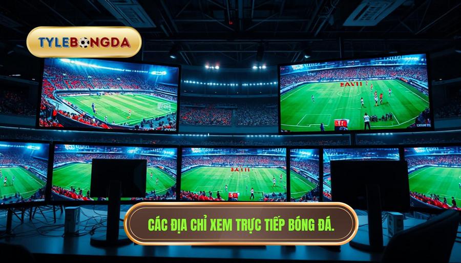 3. Các địa chỉ xem trực tiếp bóng đá.