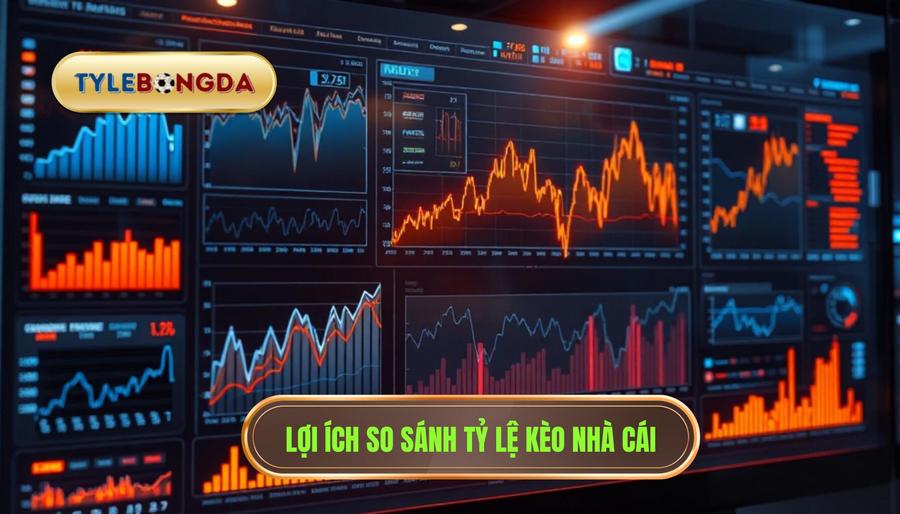 Tại sao việc so sánh tỷ lệ kèo nhà cái lại quan trọng đến vậy?
