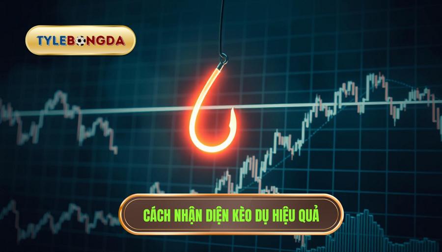 Nhận diện "Kèo Dụ" khi tỷ lệ kèo thay đổi liên tục